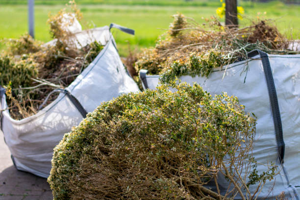 Professional Junk Removal Services in Danbury, CT
